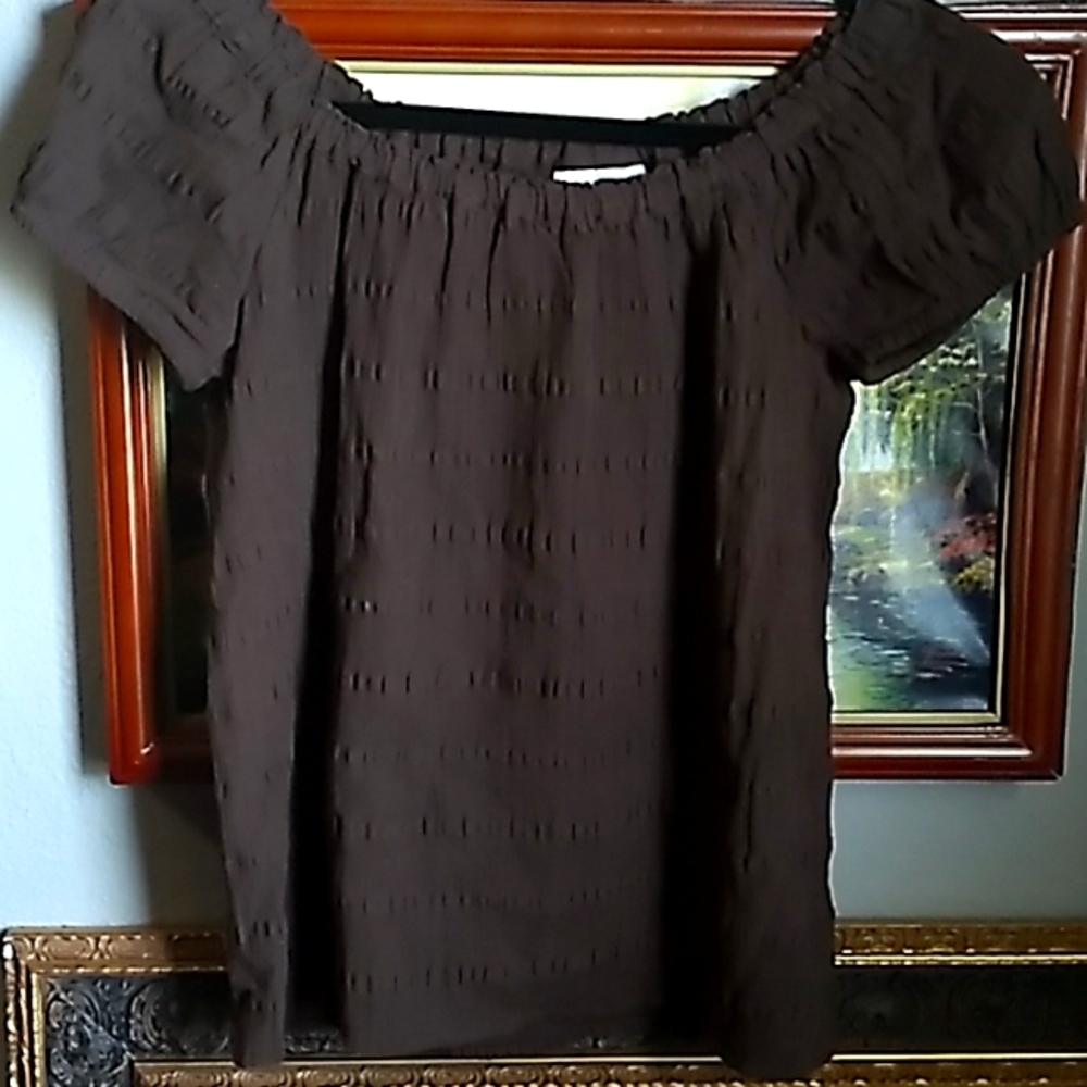 Anne Taylor LOFT petite XSP Brown Top